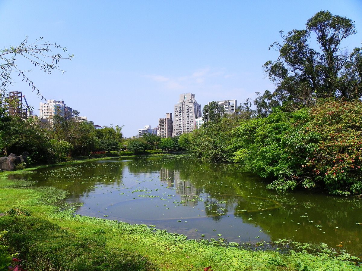 大安森林公園散步＋永康街吃小吃